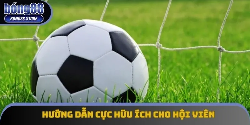 Hướng dẫn cực hữu ích cho hội viên